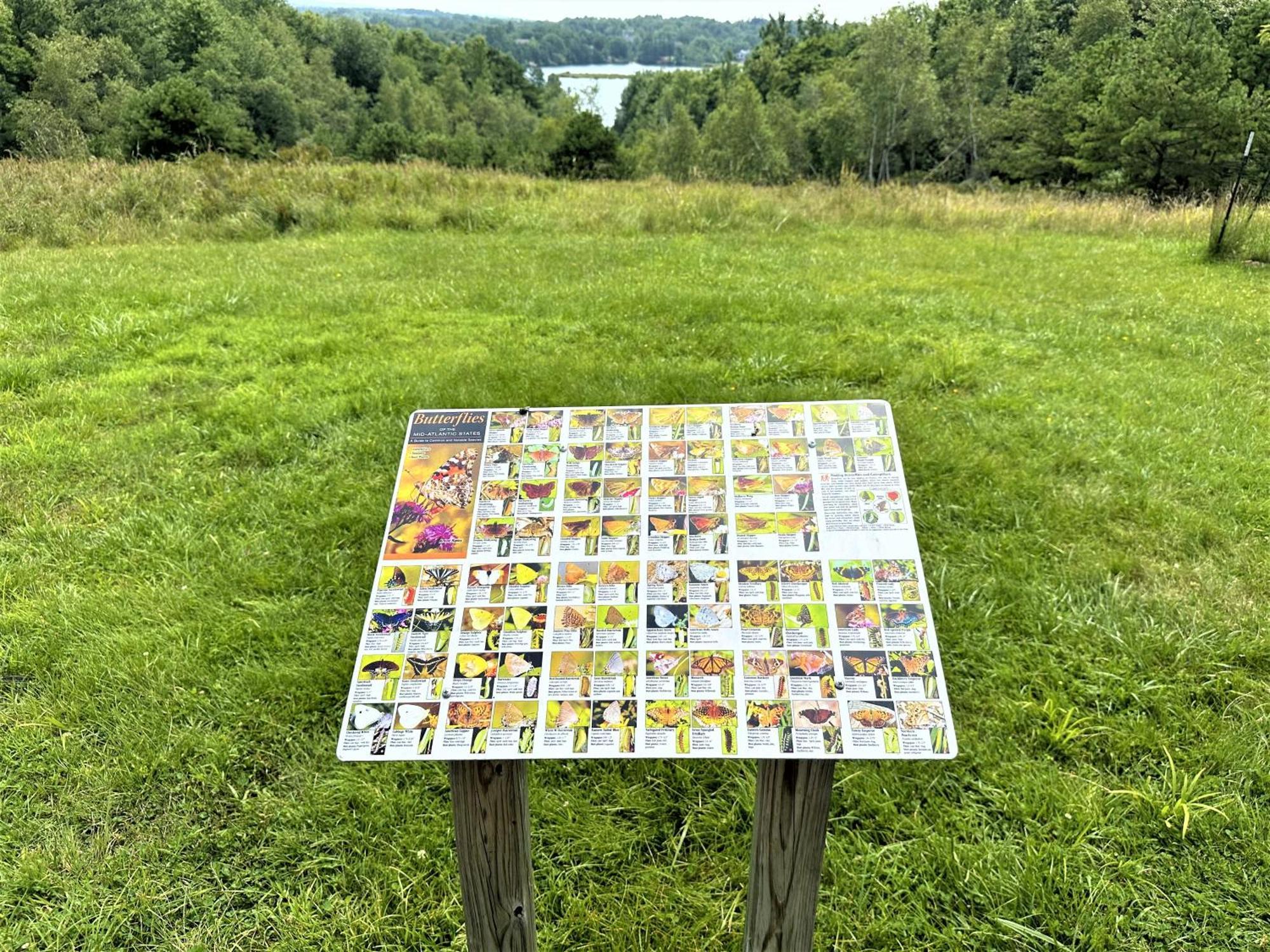 Wow!! Ultimate Pocono Retreat, Hot Tub, Game Room, Deck, Lakes, Skiing, Pools Long Pond Екстер'єр фото